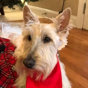 Meet your Posher, Robin